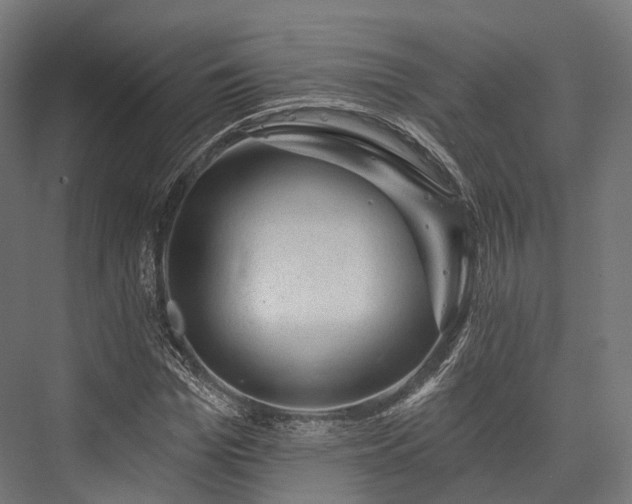 X0000076300969200610061300