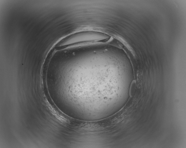 X0000076300972200610061259