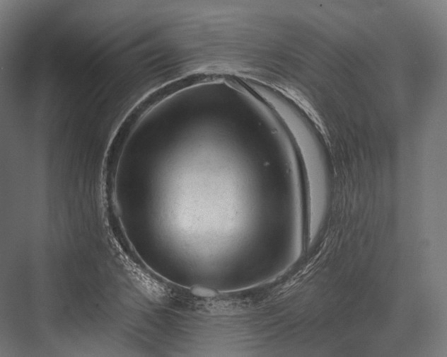 X0000076300976200610061259