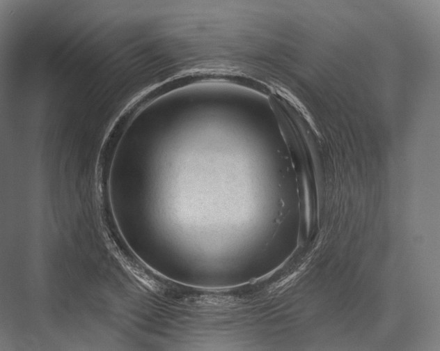 X0000076300981200610061259