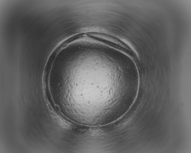 X0000076300983200610061259