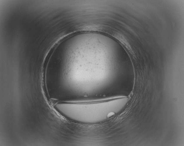 X0000076300992200610061259