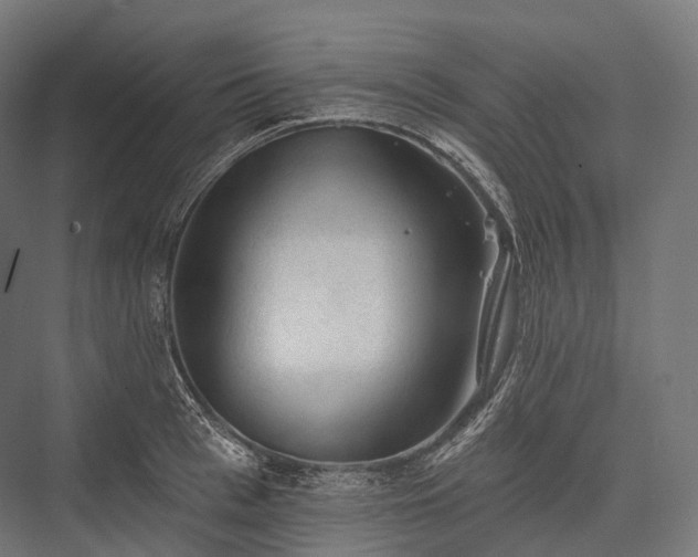 X0000076300993200610061259