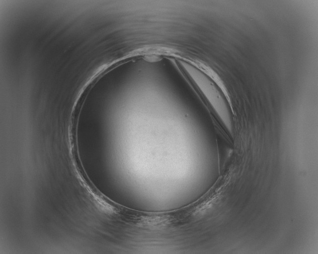 X0000076300997200610061259