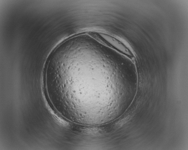 X0000076300999200610061259