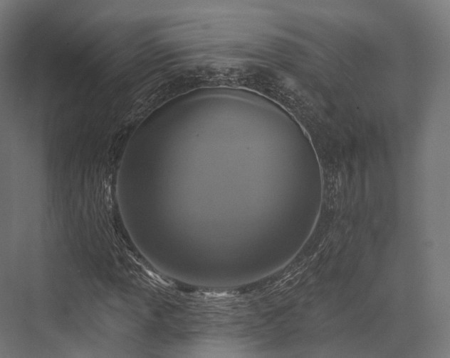 X0000076301013200610061258