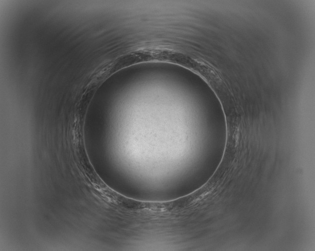 X0000076301014200610061258