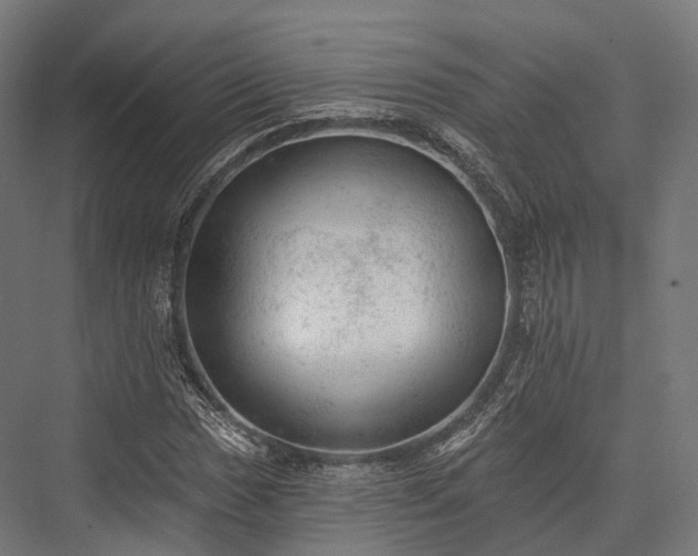 X0000076301017200610061258