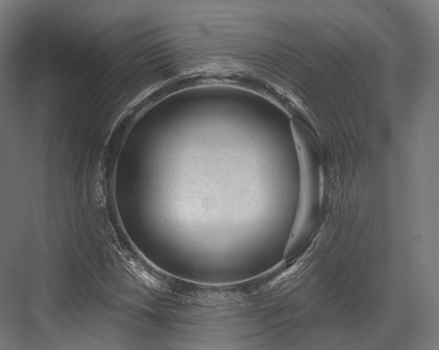 X0000076301018200610061258