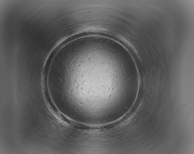 X0000076301029200610061258