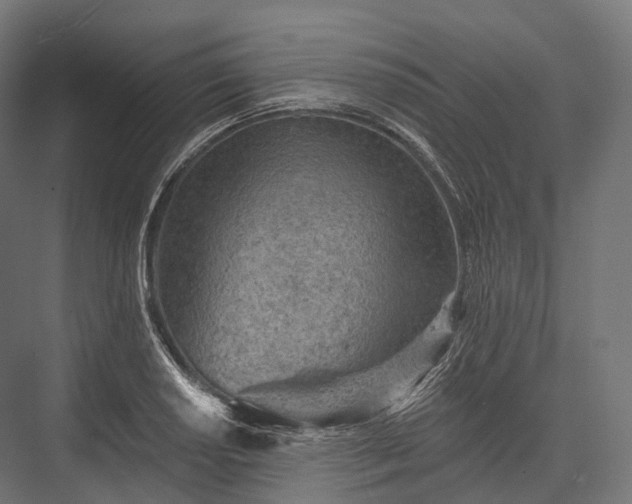 X0000076301034200610061258