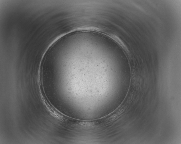 X0000076301044200610061259