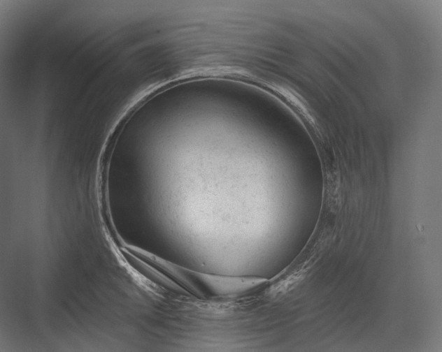 X0000076301046200610061259