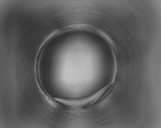 X0000076301050200610061259