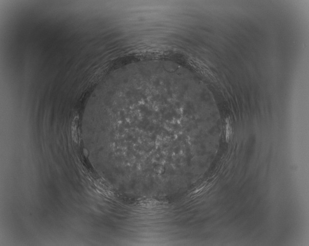 X0000076301059200610061258