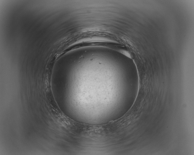 X0000076301062200610061258