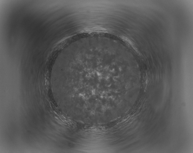 X0000076301063200610061258