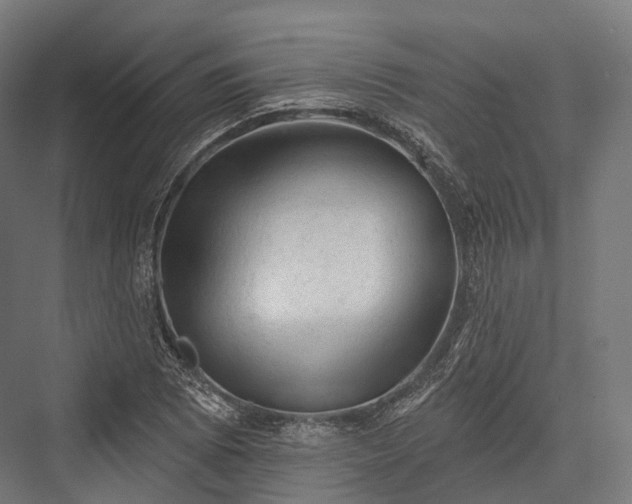 X0000076301073200610061258
