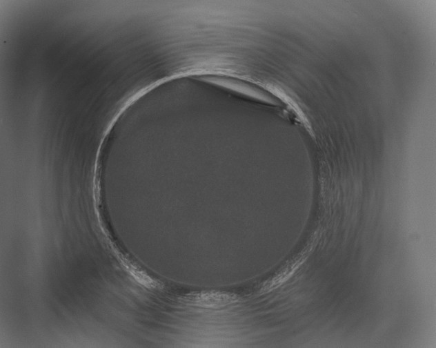 X0000076301077200610061258
