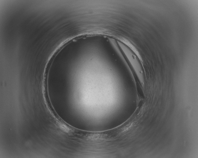 X0000076301093200610061257