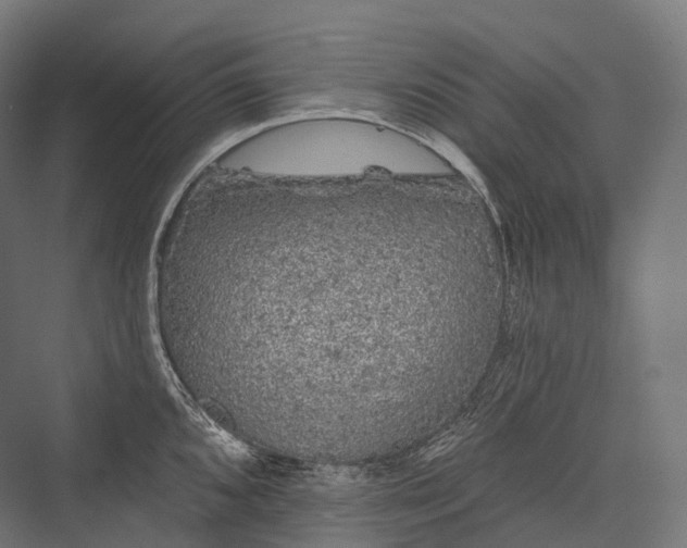 X0000076301096200610061257
