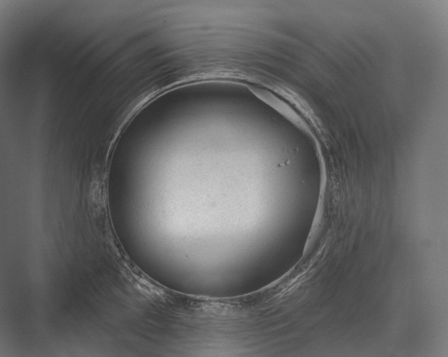 X0000076301097200610061257