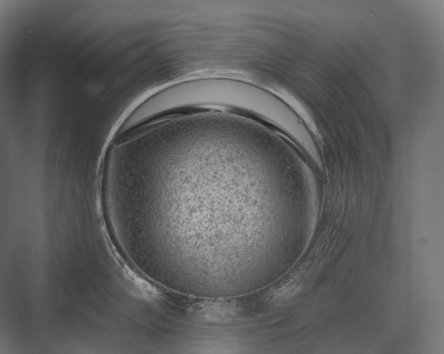 X0000076301102200610061257