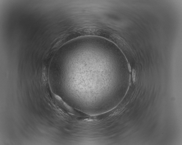 X0000076301107200610061256