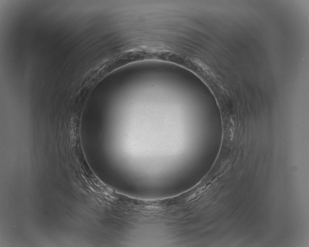 X0000076301110200610061257