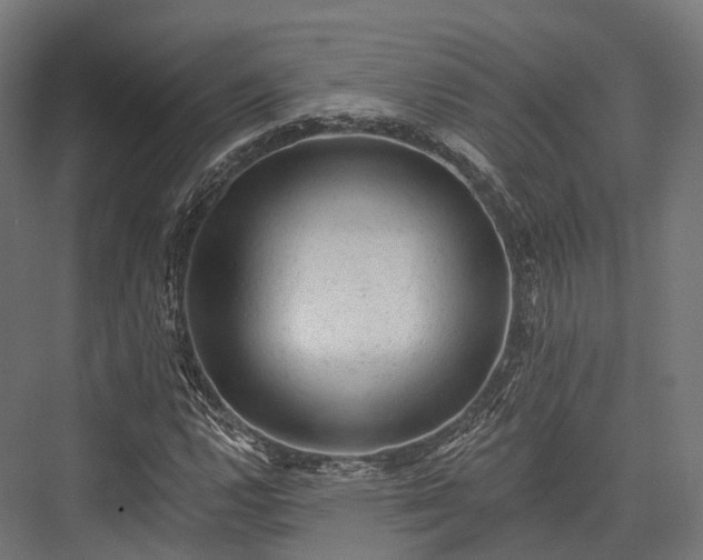 X0000076301112200610061257