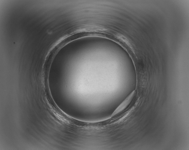 X0000076301114200610061257