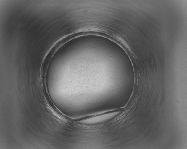 X0000076301116200610061257