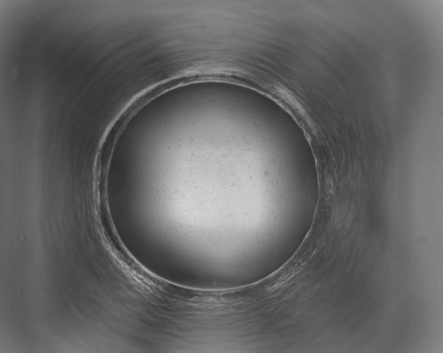 X0000076301124200610061257