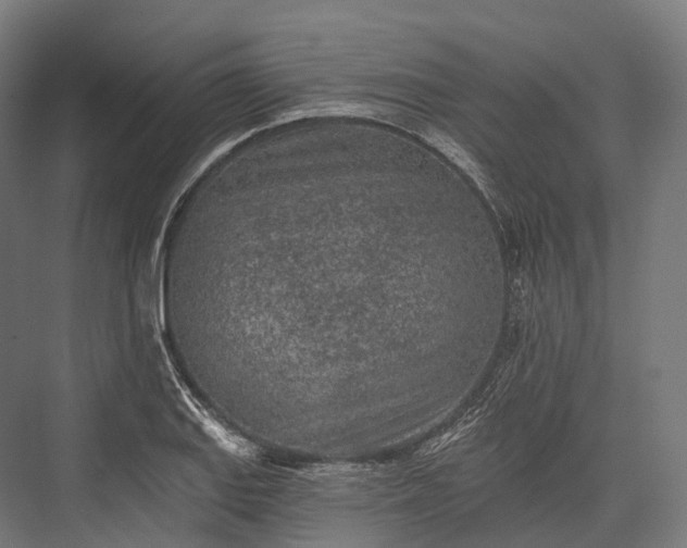X0000076301127200610061257