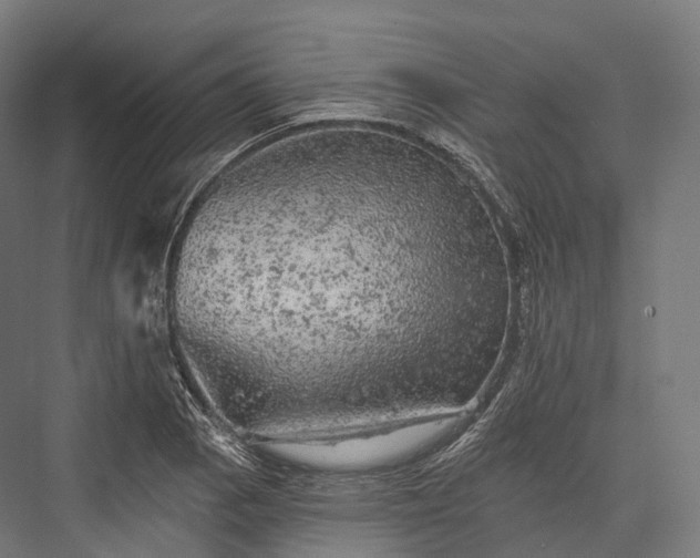 X0000076301129200610061257