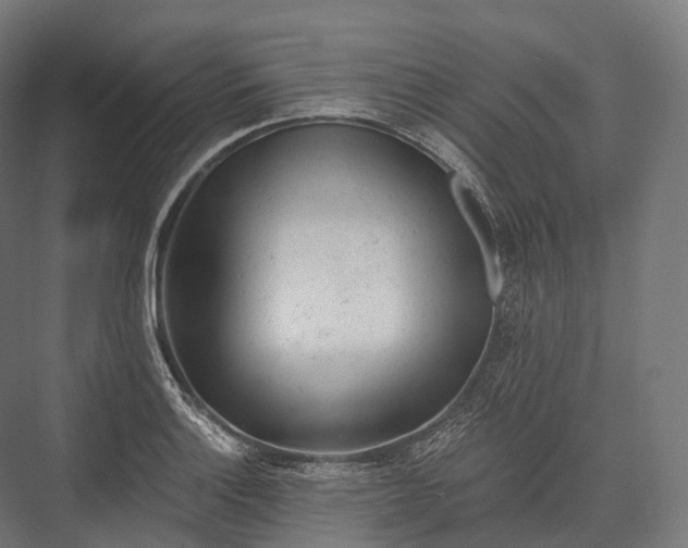 X0000076301132200610061257