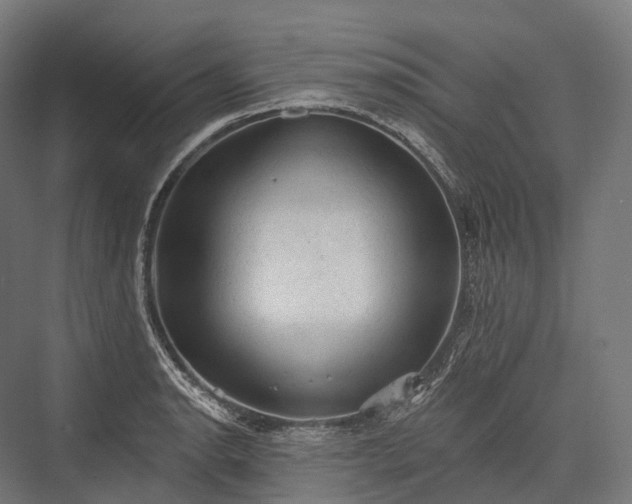 X0000076301134200610061257