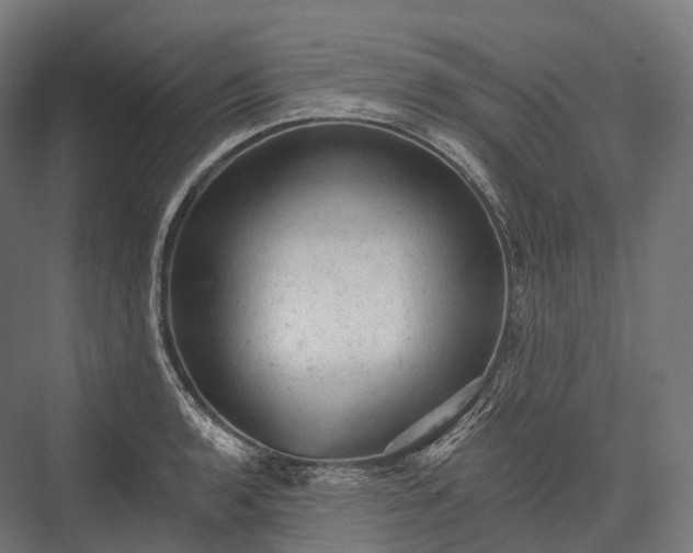 X0000076301136200610061257