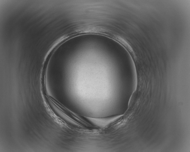 X0000076301138200610061257