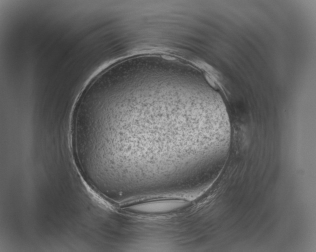 X0000076301143200610061257