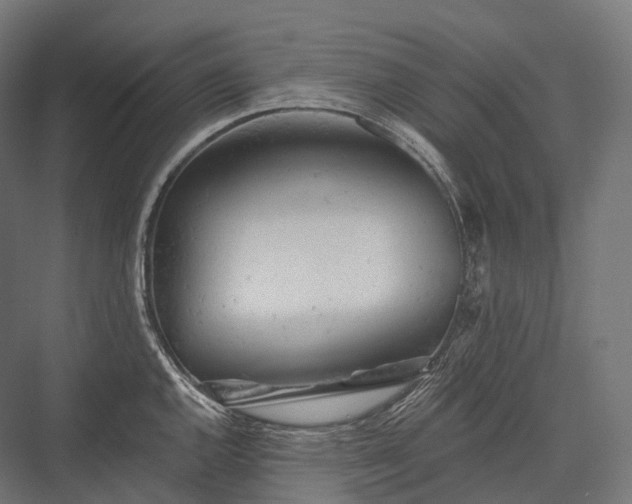 X0000076301144200610061257