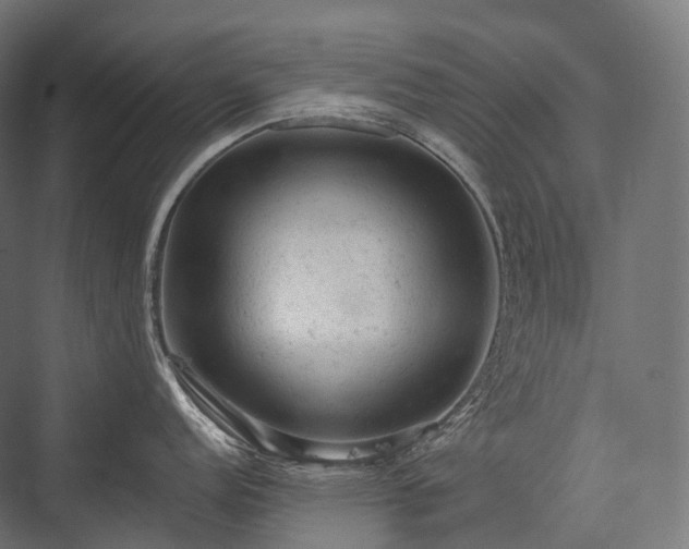 X0000076301152200610061257