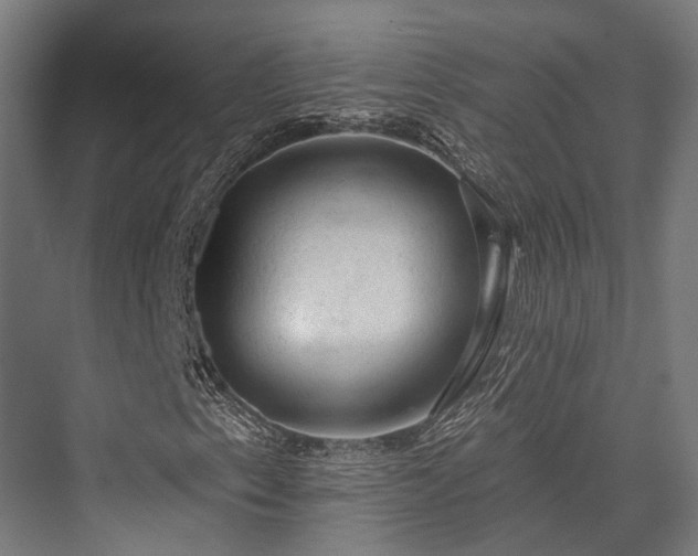 X0000076301153200610061256
