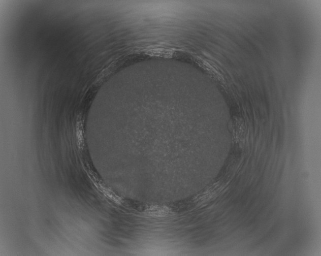 X0000076301154200610061256
