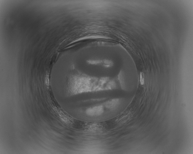 X0000076301155200610061256
