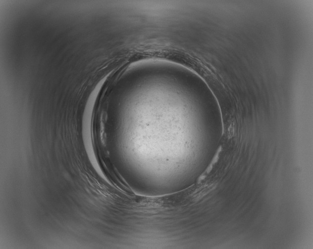 X0000076301156200610061256