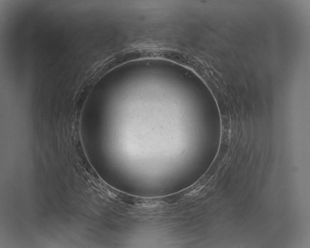 X0000076301157200610061256