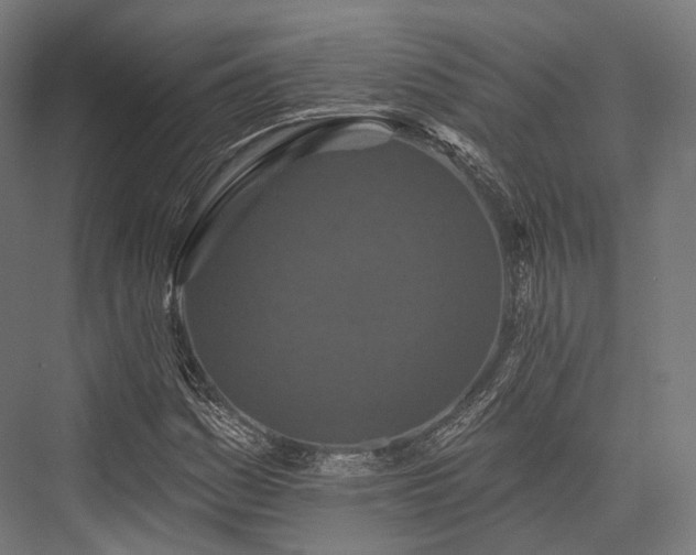 X0000076301161200610061256
