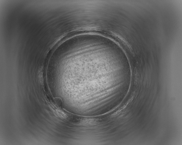 X0000076301162200610061256