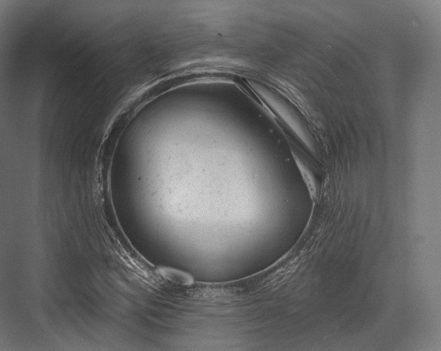 X0000076301164200610061256